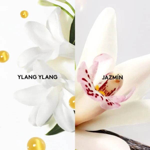 L'Image Perfume de Mujer, 50ml