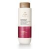 NATCOL-148170_1.jpg Shampoo reestructurante de Daños Extremos para Cabello Químicamente Dañado- 300ml